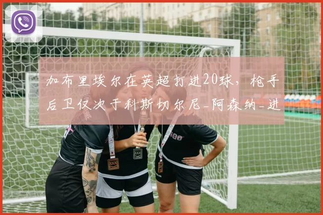 加布里埃尔在英超打进20球，枪手后卫仅次于科斯切尔尼_阿森纳_进球_进攻