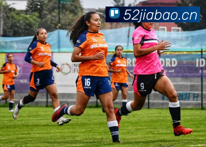 开云·kaiyun体育(中国)官方网站 - 登录入口平台生态图